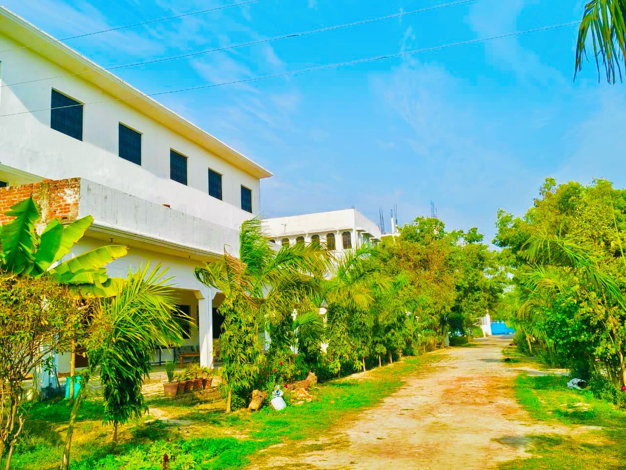 Student Activities